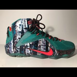 Nike Lebron XII Akron Birch